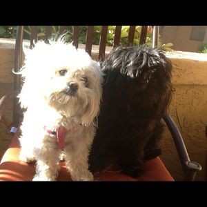 Meet your Posher, Karla